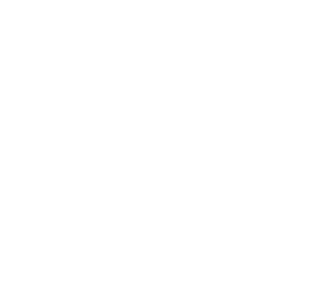 Der Bundesadler - Logo des Deutschen Bundestages